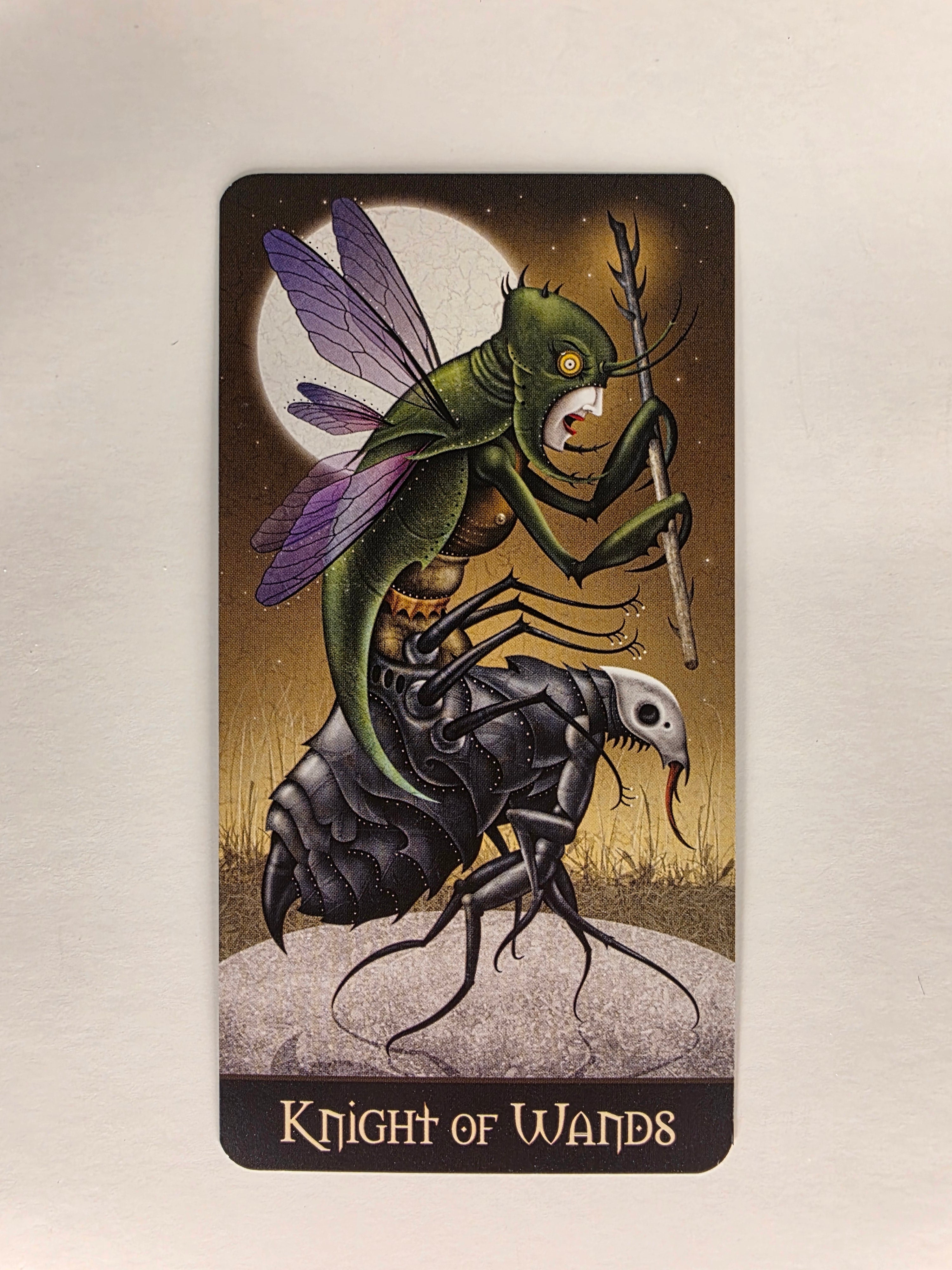 Deviant Moon Tarot Borderless Edition Knight of Wands Single Card Replacement