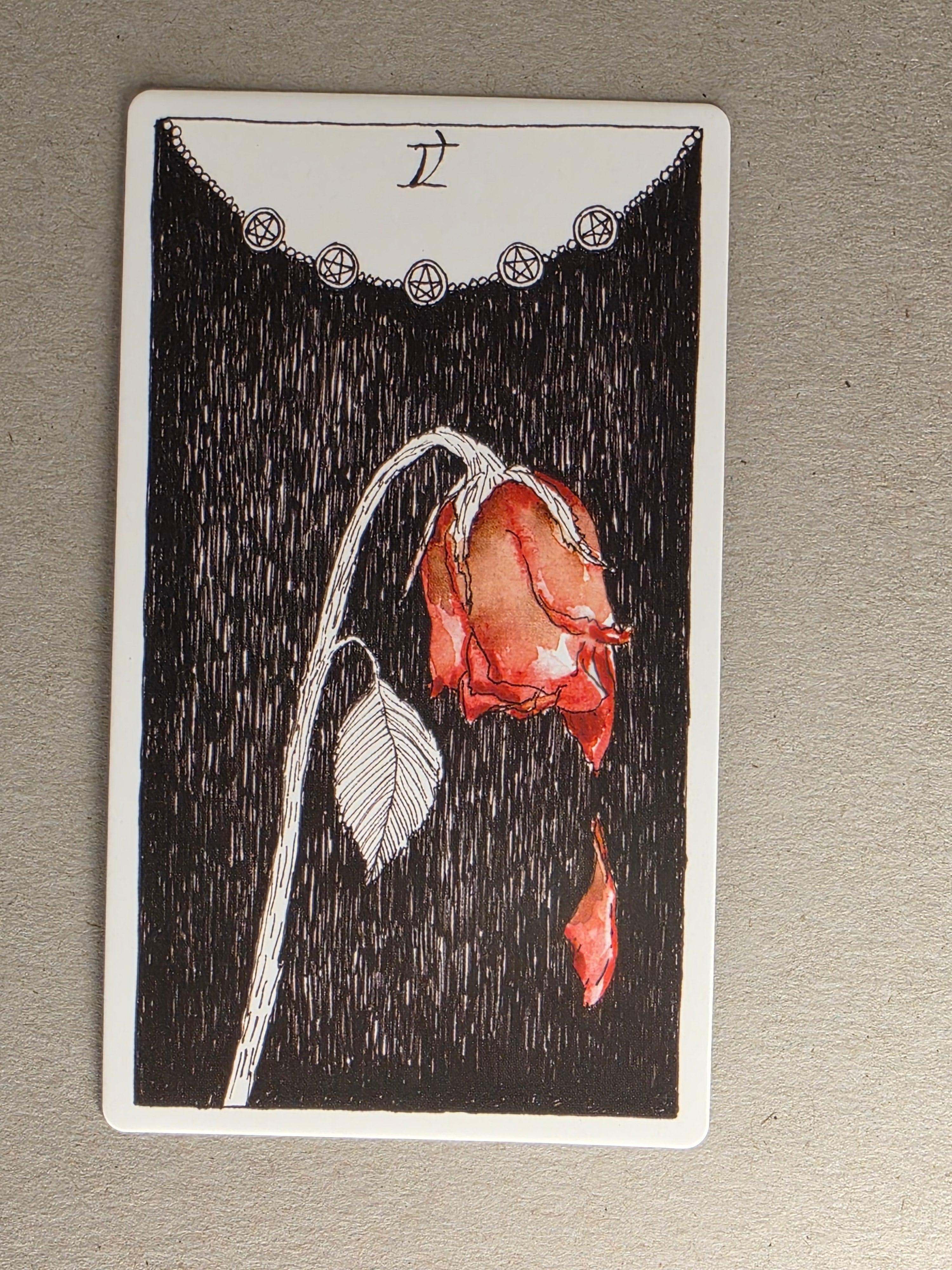 wild unknown five of pentacles single card replacement