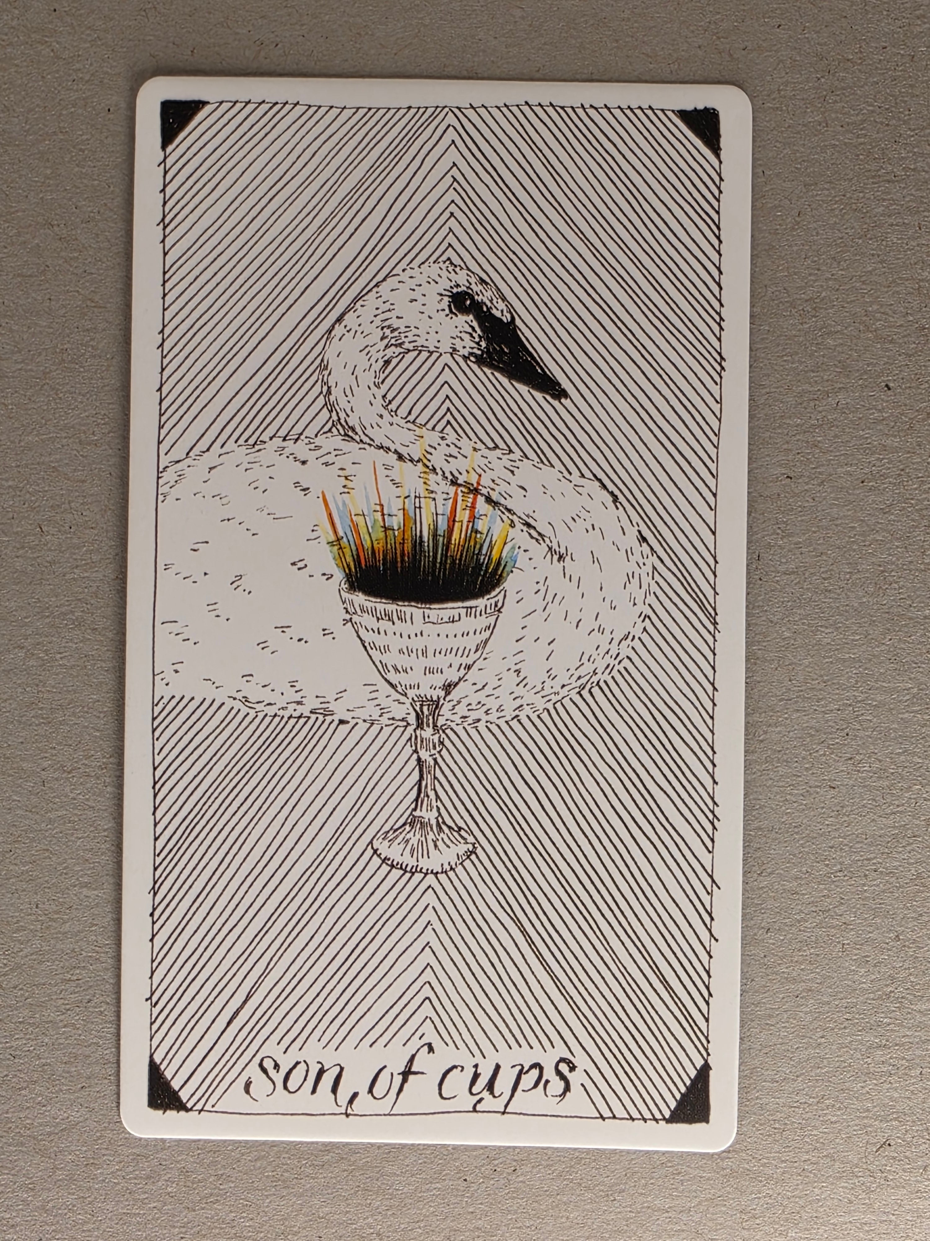 wild unknown son of cups single card replacement